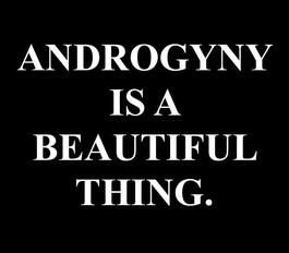 'Androgyny is a beautiful thing.'