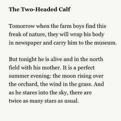 The Two Headed Calf (poem by Laura Gilpin)